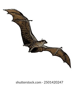 Ilustration vector design isolated of BAT