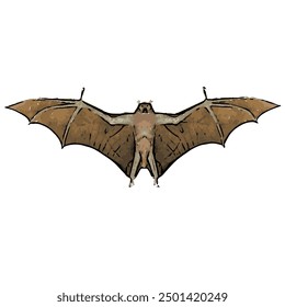 Ilustration vector design isolated of BAT