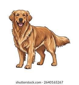 Ilustration vector golden retriever isolated on white