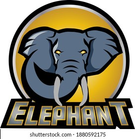 Ilustration vector graphic elephant animal
Perfect for logo sport and zoo