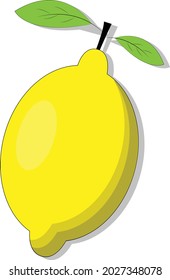 Ilustration vector graphic of  
fresh lemons. Perfect for nutrition product.
