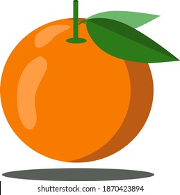Ilustration vector graphic fruit Orange
God for drink and food 