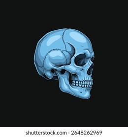  Ilustration vector graphic of human skull isolated on black