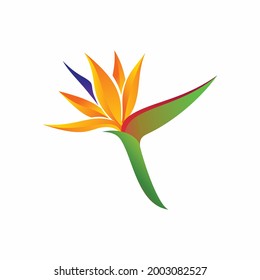 
Ilustration vector graphic icon  logo of Paradise flower