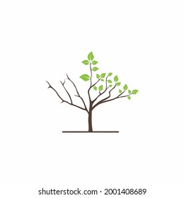 Logotipo gráfico vectorial de depuración del árbol medio seco