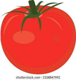 ilustration vector graphic of tomato red. perfect for food  photo, etc.