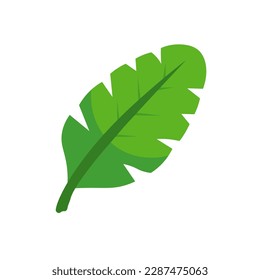 ilustration vector graphich of banana leaf. daun pisang 