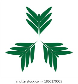 Ilustration Vector green leaves concept