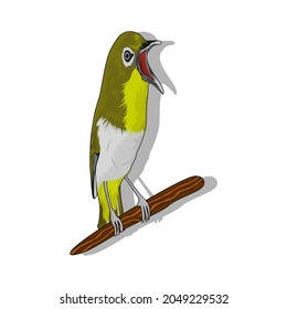 Ilustration vektor graphic of  Pleci bird with a shadow background. This vector is suitable for t-shirt designs, etc.