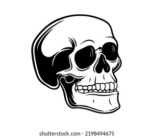 ilustration vektor graphic of skull. Perfect for logo, tatto, etc.