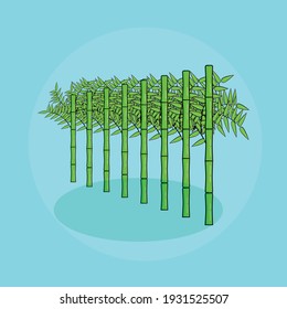 Ilustration vektor grapic of bamboo