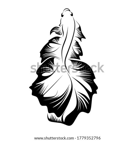 Ilustration vektor grapich beta fish
Suitable for ornamental fish shop logo , etc