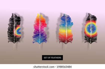 ilustrations vector graphic of set of cute feathers