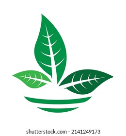 ilustrationvector graphic of green leaf logo fit for desain logo dan simbol go green