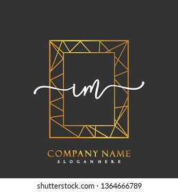 IM Initial Handwriting logo template vector