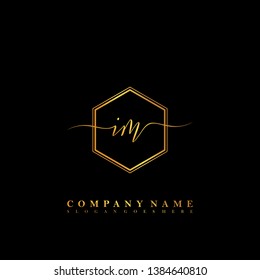 IM Initial luxury handwriting logo vector