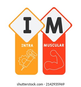 IM - Intramuscular acronym. medical concept background.  vector illustration concept with keywords and icons. lettering illustration with icons for web banner, flyer, landing 
