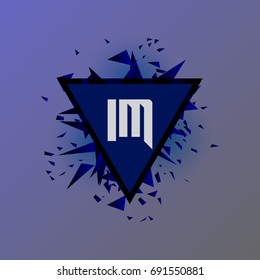 IM Logo