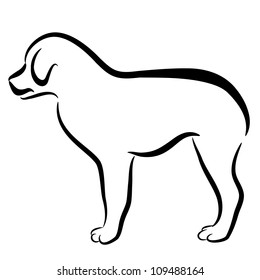 An image of an abstract elegant border collie dog profile.