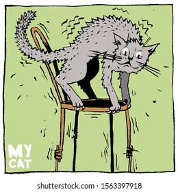 Image of an afraid cat on a chair. Calligraphy. Color vector illustration. Can be used in social networks, for articles, publications, postcards, prints, posters.