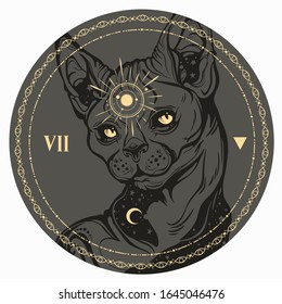 Image of an alchemical magic cat