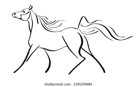  Image of a arabian horse in lines