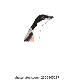 image of the Asian bird