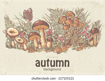 Image of autumn background with white mushrooms and oyster