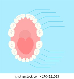 image of a baby's mouth on a blue background. The location of the teeth in the mouth of a young child with an indication of the date when each of the teeth grew.
stock isolated illustration 