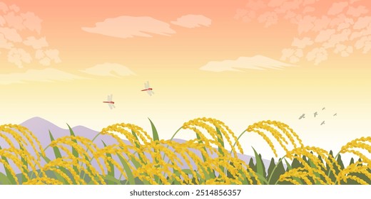 Image background of ears of rice and autumn scenery (2:1)