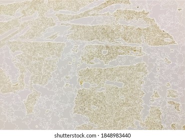 
Image of the background, texture, trace of natural decay,