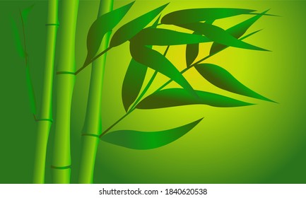 
the image of bamboo in green tones