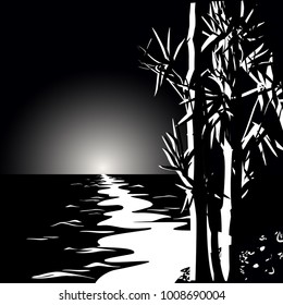 Image of a bamboo on a night background by the sea