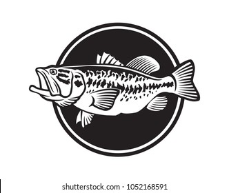 image bass fish