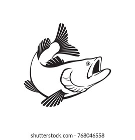 image bass fish
