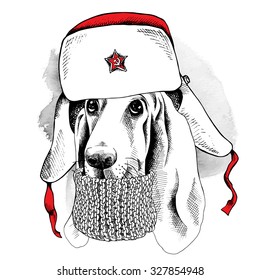 Image of Basset Hound dog wearing a winter hat with ear flaps. Vector illustration.