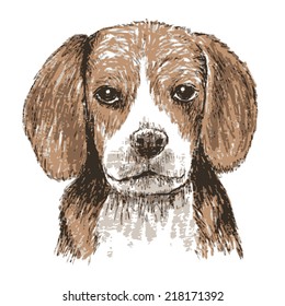 Image of beagle , hand draw vector on white background