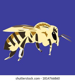 image of a bee on a blue background