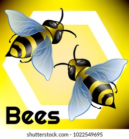 Image of bees on yellow background. Vector illustration.