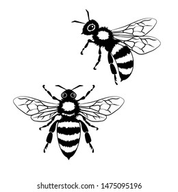 Set Vector Monochrome Templates Bees Different Stock Vector (Royalty ...