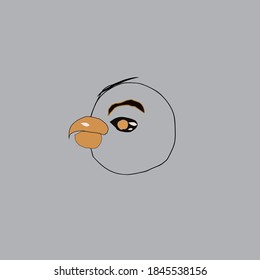 imagen de la ilustración de la cabeza de ave