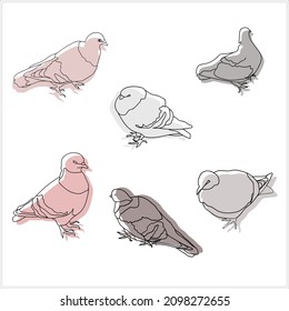 Image of birds. Pigeons..Image on white and colored background.Pattern.