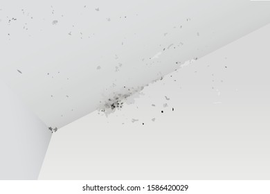 The image of black mold in the corner on the walls and on the ceiling, in vector.