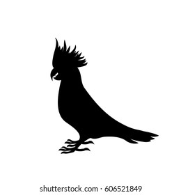 Image of a black silhouette of a cockatoo parrot or a macaw standing on its paws. Torso, head, crest, tail and paws are visible.