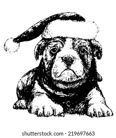 Image of black and white bulldog with hat, hand draw vector. Use for Christmas day.