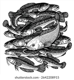 The image is a black and white illustration depicting a dense, circular school of various fish.
