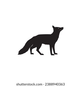 image of a black wolf, on a white background.