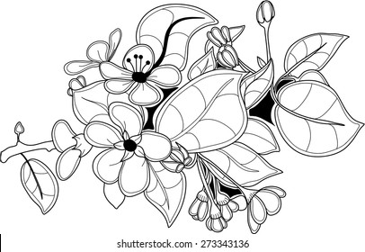 An image of blossoming apple tree branch