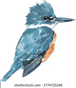 Image of a blue bird. vector