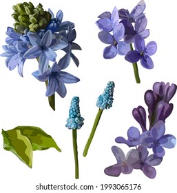 Image of blue flowers. Twigs with flowers. Digital clipart. Bouquet.Vector